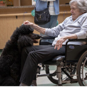 Wool 'n Wind Alli doing therapy work