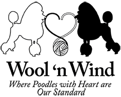 Wool ‘n Wind Wool ‘n Wind