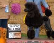 The Marvelous Ms. Marti