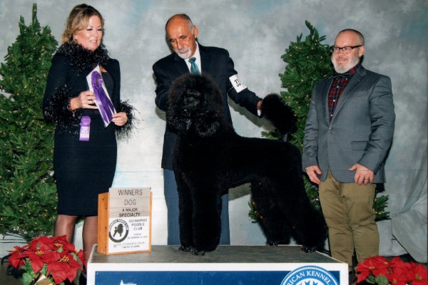 Wool 'n Wind GCHS CH Boxwood’s Bell Buoy